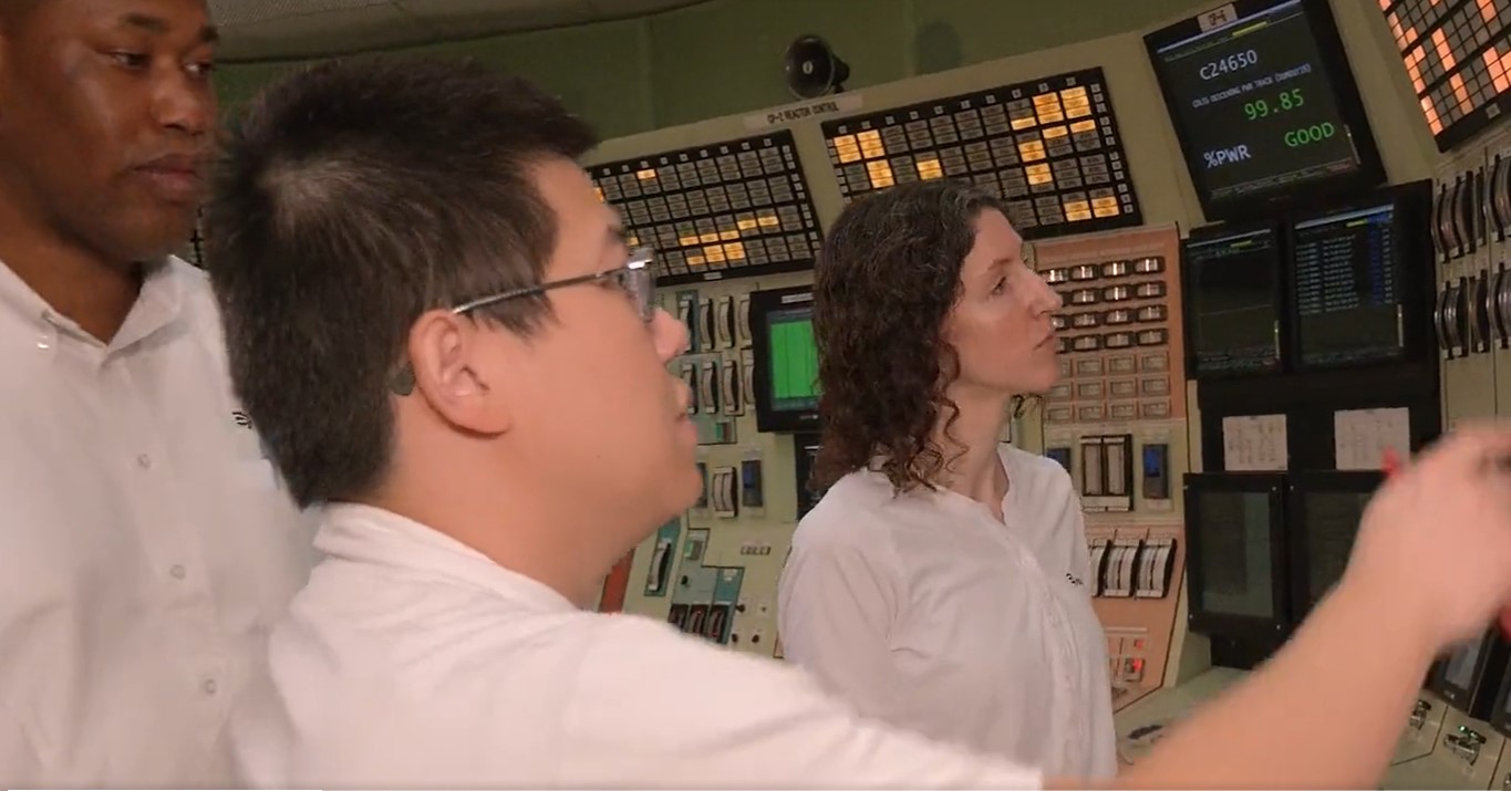 Diversity in the nuclear power plant control room. 