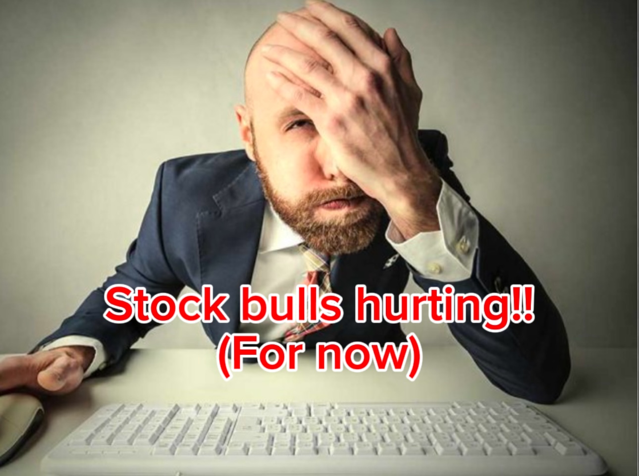 stock bulls