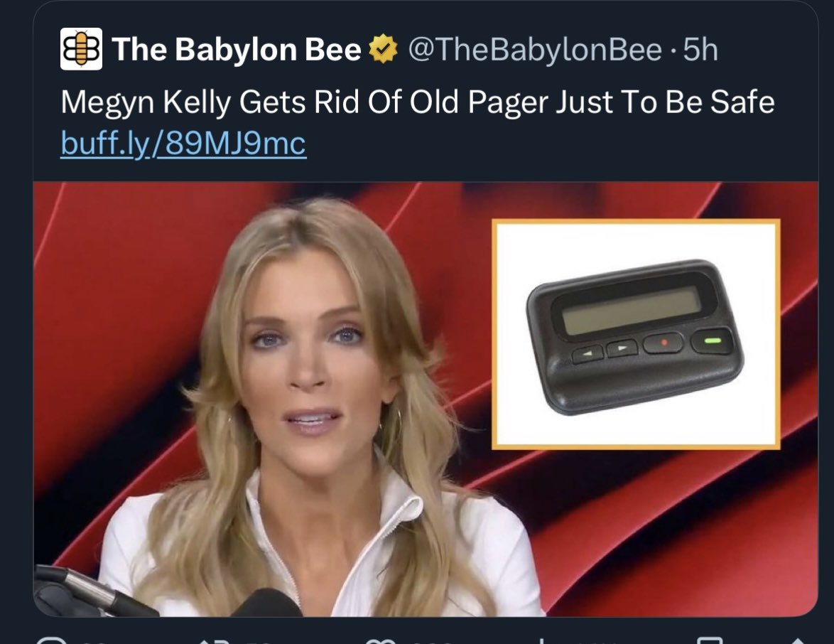 Megyn Kelly Babylon Bee
