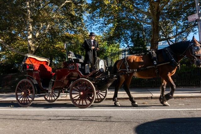 New York City Votes To Ban Horse-Drawn Carriages, Ending 170-Year Tradition