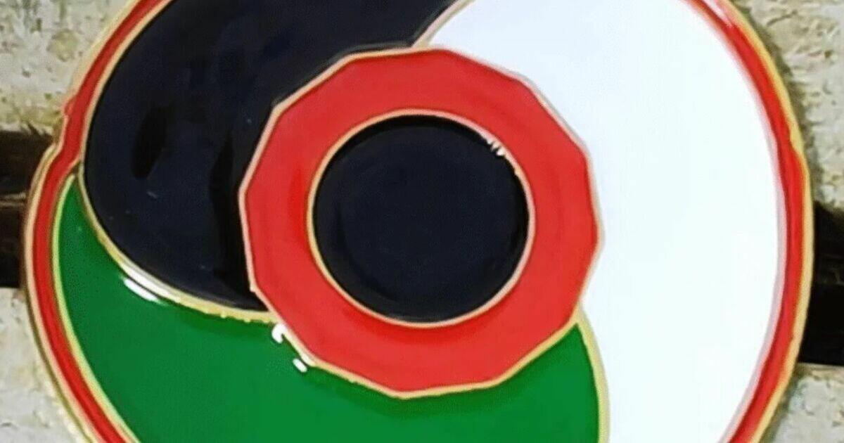 Veterans Blast 'Palestine Poppy' As Hijacking Of Remembrance Symbol, A Week After Protesters Trampled Battle Of Britain Wreaths