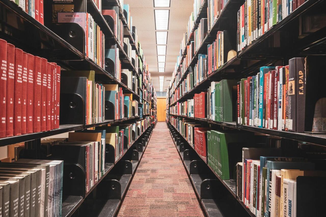 Why So Many Social Science Claims Are False