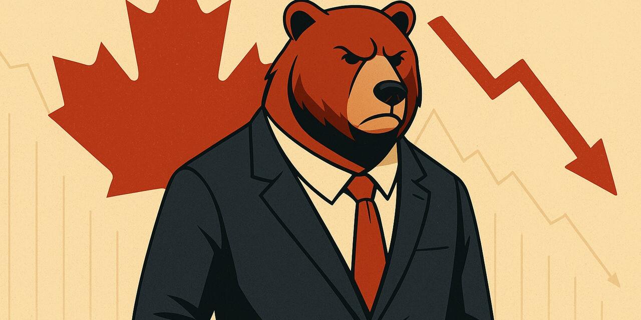 A frowning bear in front of a Canadian flag and a downward arrow. 