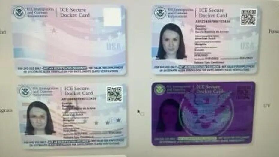 ICE Expected To Roll Out ID Program For Illegals This Summer