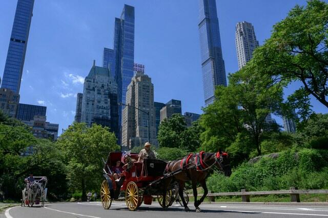 Mamdani Moves To Ban Horse Carriages From NYC, Drivers React