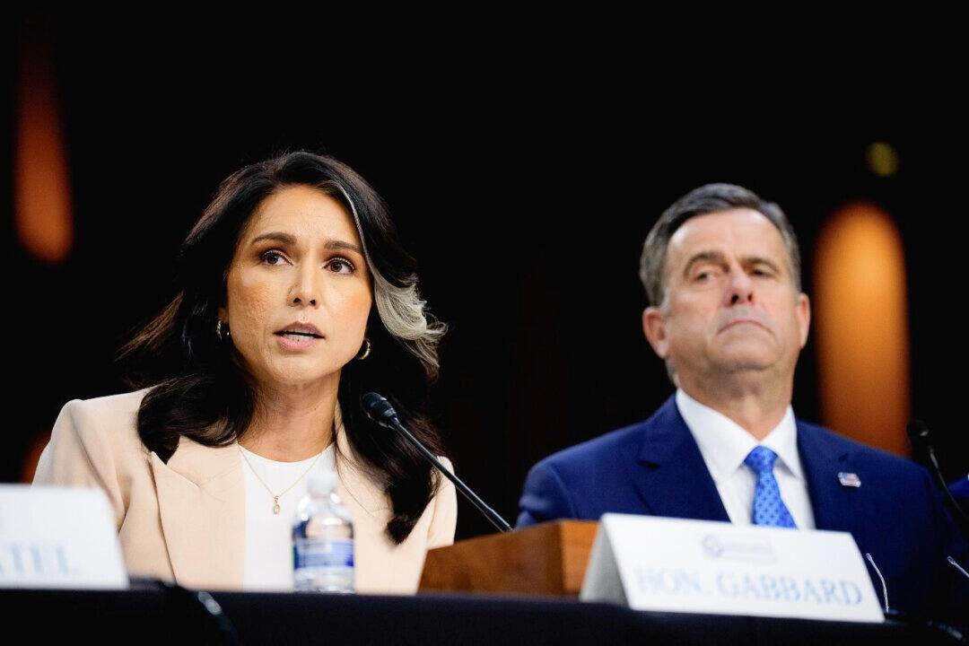 US Spy Chief Gabbard Starts Task Force To Investigate Intelligence Community
