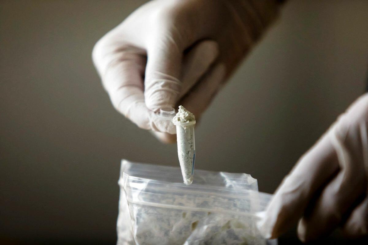 China Expands Export Controls On Drug Precursor Chemicals Ahead Of Trump-Xi Talks