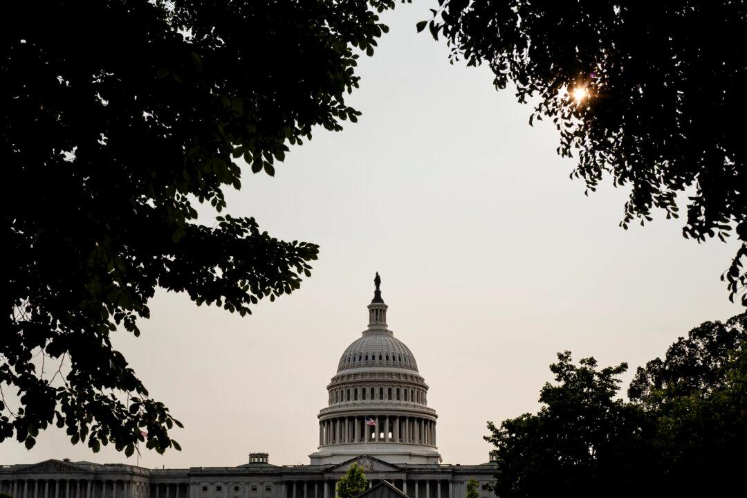 In Clawback For Ants, House Unveils Bill To Recover .4 Billion In Waste, Fraud And Abuse