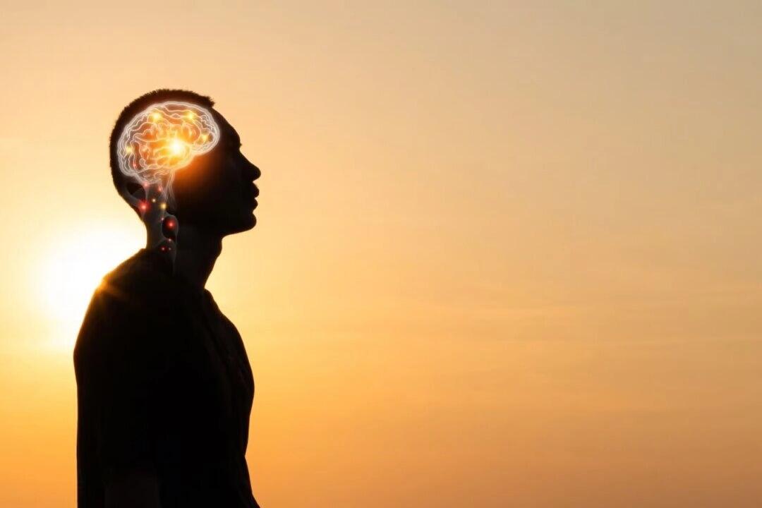 Zombie Bioethics And WTF Do They Want With 'Modified' Human Bodies?