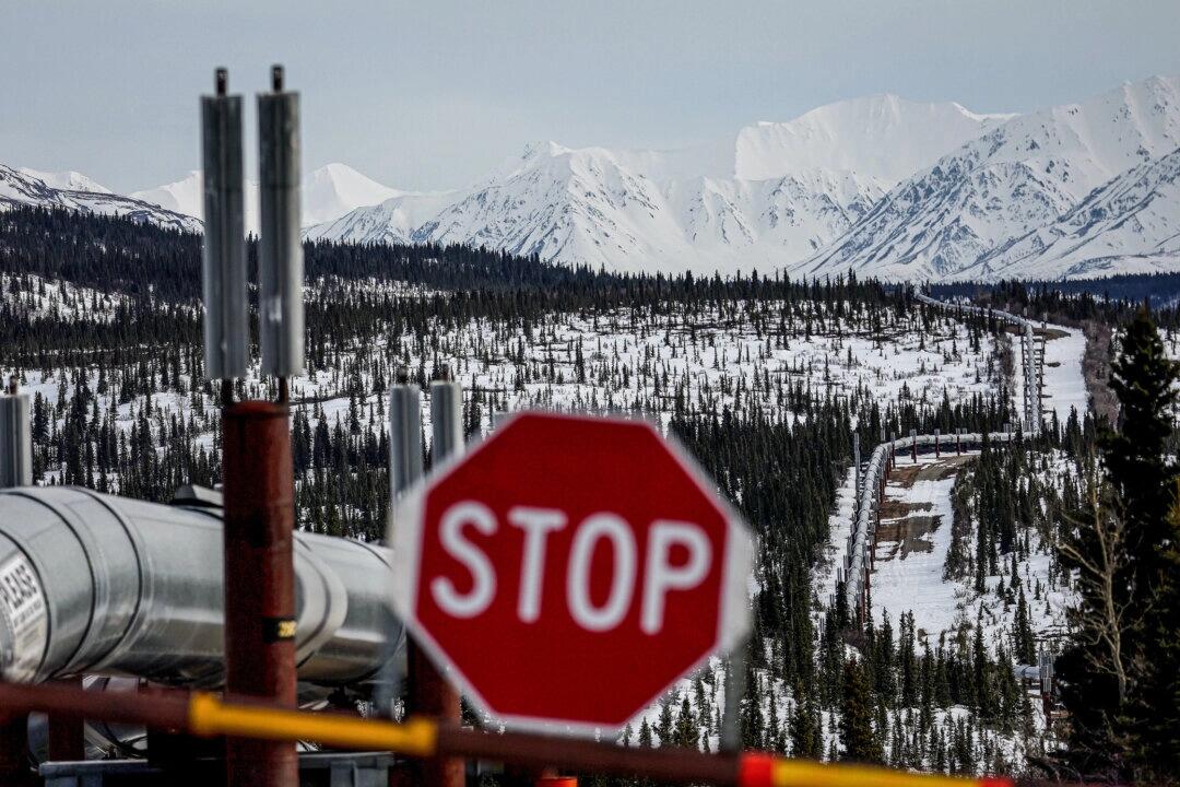 Interior Dept. Proposes Opening Up 82 Percent Of Alaskan Petroleum Reserve