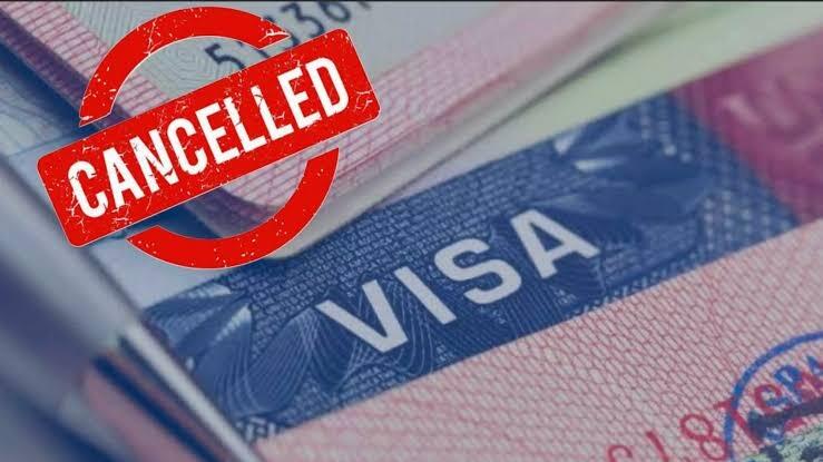 Over 250,000 Visas Revoked During Trump's Second Term