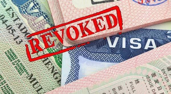 US Has Revoked More Than 300,000 Visas In Trump's Second Term
