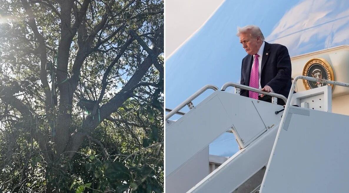 Secret Service Discovers Hunting Stand Overlooking Trump's Air Force One Exit