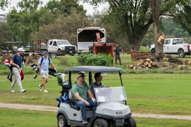 Judge Blocks Further Tree Removal At DC Golf Course Trump Seeks To Renovate