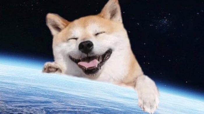 As DOGE Explodes, Robinhood Crypto Trading "Experiencing Issues" For Second Day - Vimarsana News