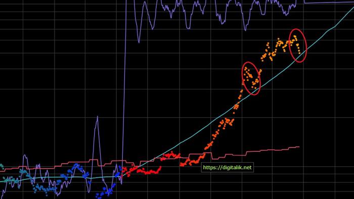 Bitcoin Crashes Below $50,000 To Critical Support - Vimarsana News
