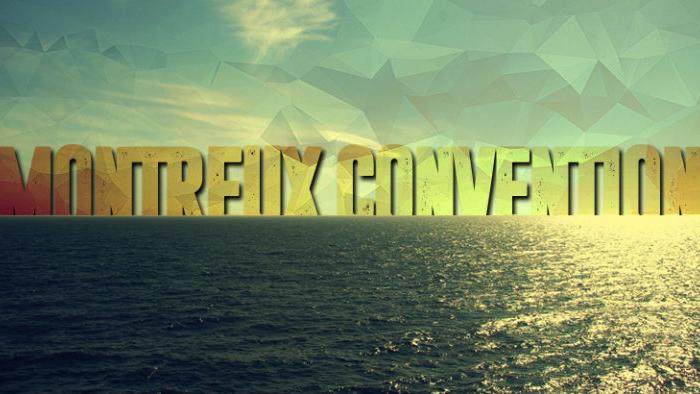 Balance Of Power In The Black Sea: Will The Montreux Convention Prevail? - Vimarsana News