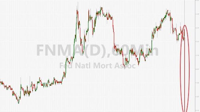 Fannie, Freddie Plummet Most In 13 Years After Supreme Court Ruling