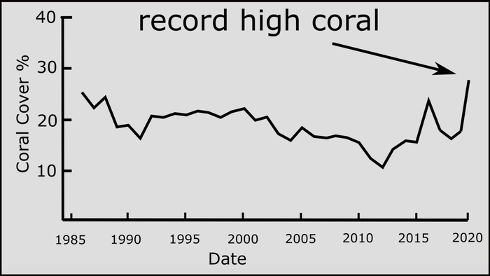 Record Coral Cover Of Great Barrier Reef Shames Climate Alarmists, Media - Vimarsana News