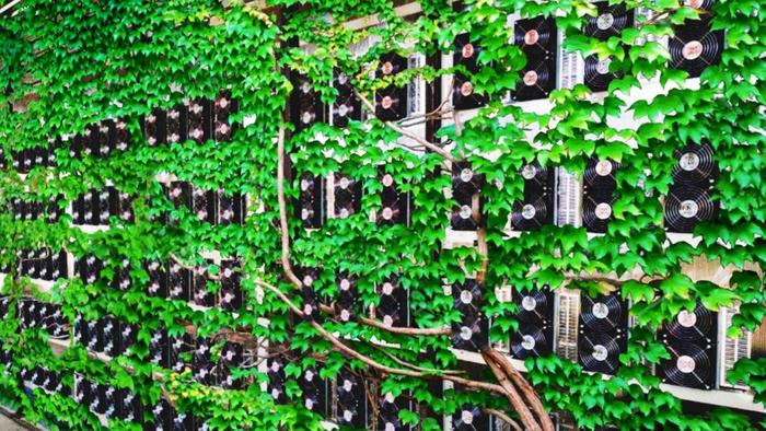 How Large-Scale Bitcoin Mining Is Driving Clean Energy Innovation - Vimarsana News