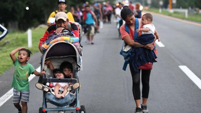 Migrant Caravan Rejects Humanitarian Visa, Heads To US And Mexico City - Vimarsana News