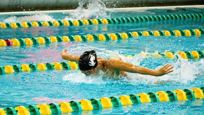 USA Swimming Official Quits Over Trans Swimmer Competing Against Women - Vimarsana News