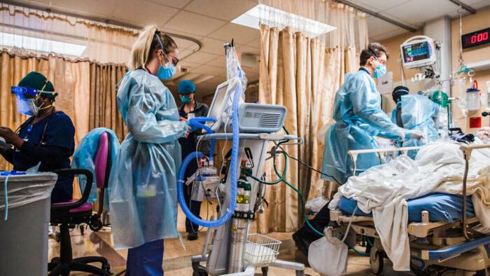 Doctor Says He Was Fired For Trying To Treat COVID Patients With Ivermectin - Vimarsana News