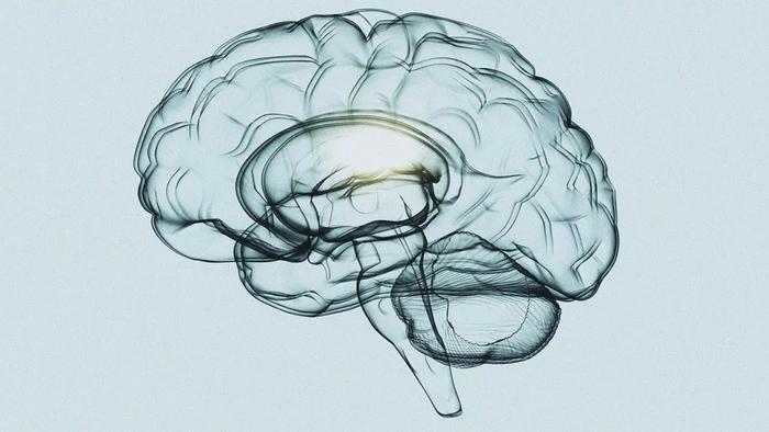 Addictive 'Brain Hijacking' Methods Of Social Media Platforms Harmful To Users, Especially Children: Insider - Vimarsana News
