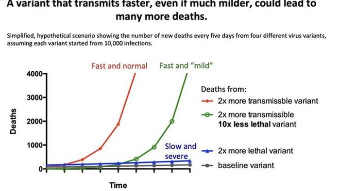 One Chart Traders Might Want To Ponder - Vimarsana News