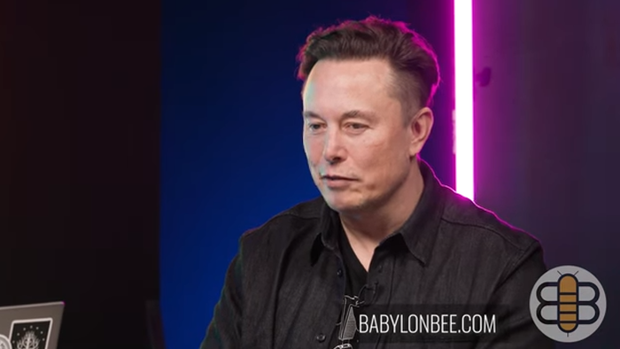 "If You Could Die Of Irony, She Would Be Dead": Musk Slams Liz Warren And Woke Culture In Epic Babylon Bee Interview - Vimarsana News