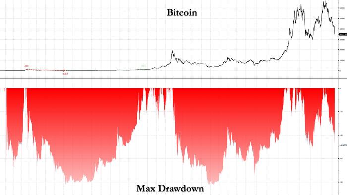 Fear And Panic As Bitcoin Crashes 50% From All Time High - Vimarsana News