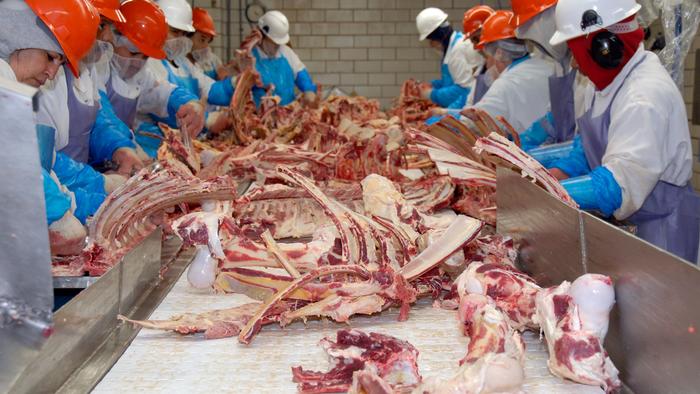 Beef Prices Jump As Omicron Spread Sickens Meat Plant Workers - Vimarsana News
