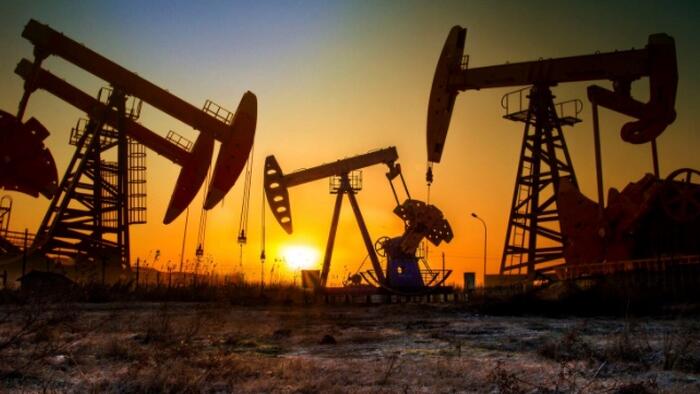 Texas Joins West Virginia In Boycotting BlackRock Over 'Decarbonization' Push - Vimarsana News