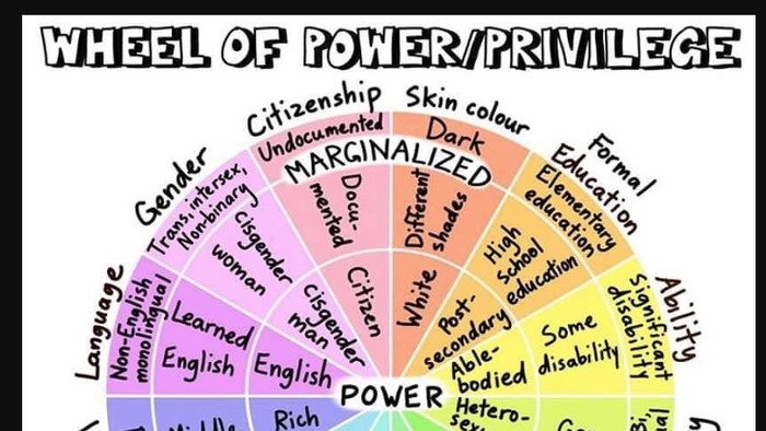 San Diego County School Retracts "Wheel Of Privilege" Teaching Tool - Vimarsana News