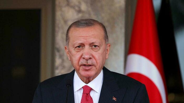 Erdogan Fires Turkey's Statistics Chief After Inflation Hits 36% - Vimarsana News