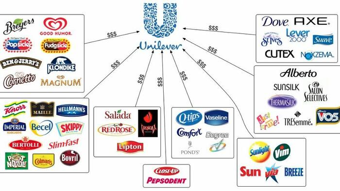 Unilever Reveals "Shocking" Margin Outlook Blamed On Soaring Commodity Costs - Vimarsana News