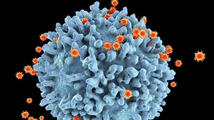 Scientists Discover Highly Infectious Mutant HIV Strain In The Netherlands - Vimarsana News