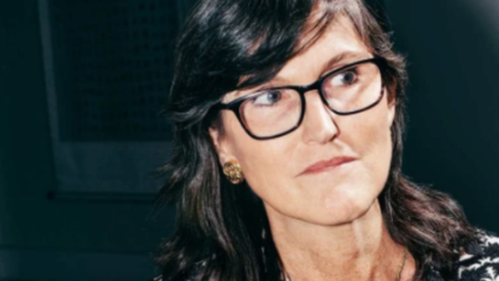 Cathie Wood Readies New "Venture Fund" Targeting Illiquid Assets - Vimarsana News