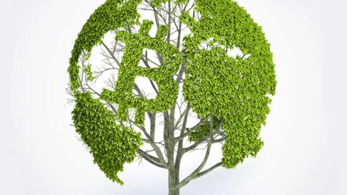 The Questionable Ethics Of Anti-Bitcoin ESG Junk-Science - Vimarsana News