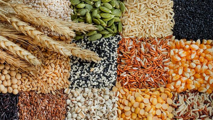 Grains Cheatsheet: Part 1 - Vimarsana News