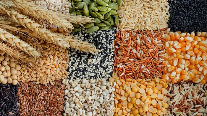 Grains Cheatsheet, Part 2: Don't Follow The 'Record Crop' Trap - Vimarsana News