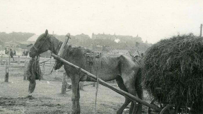 Hedge Fund CIO: The Golden Era For Central Banking Is Ending And A Global "Great Famine" Is Coming