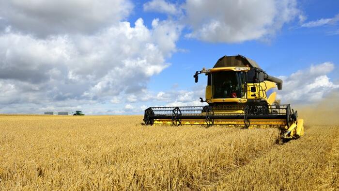 Food Crisis Imminent: Hungary Bans All Grains Exports Effective Immediately