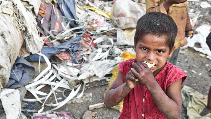 3 Factors Which Are About To Make The Coming Food Shortages Even Worse - Vimarsana News