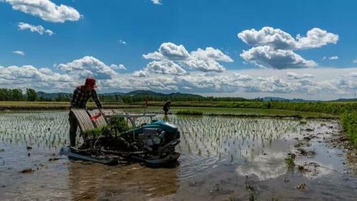 China On The Verge Of A Major Food Crisis, Part 2: Water - Vimarsana News