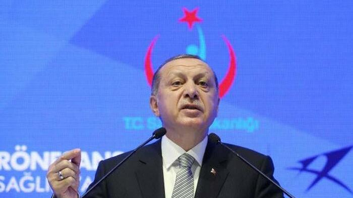 After Secretly Pillaging Billions In Turkish Assets To Prop Up Lira, Erdogan Is Going After Foreigners' Dollars - Vimarsana News