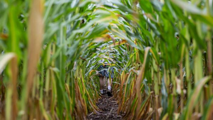 Black Swan Event? Top US Fertilizer Producer Hit With Rail Delays To Midwest
