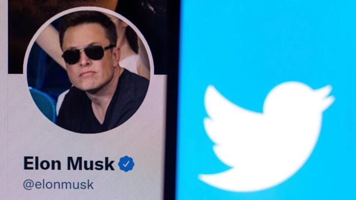 Twitter's Chickens Come Home To Roost - Vimarsana News