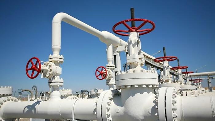 US Natgas Prices Sink After Goldman Says Prices "Likely Overshot" - Vimarsana News