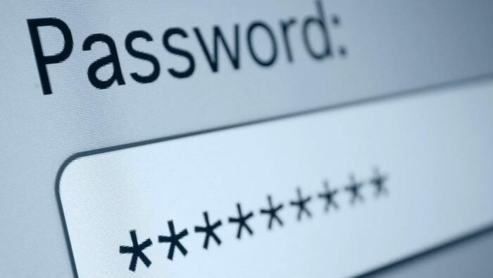 Americans Prefer Low-Tech Approach To High-Tech Security - Vimarsana News